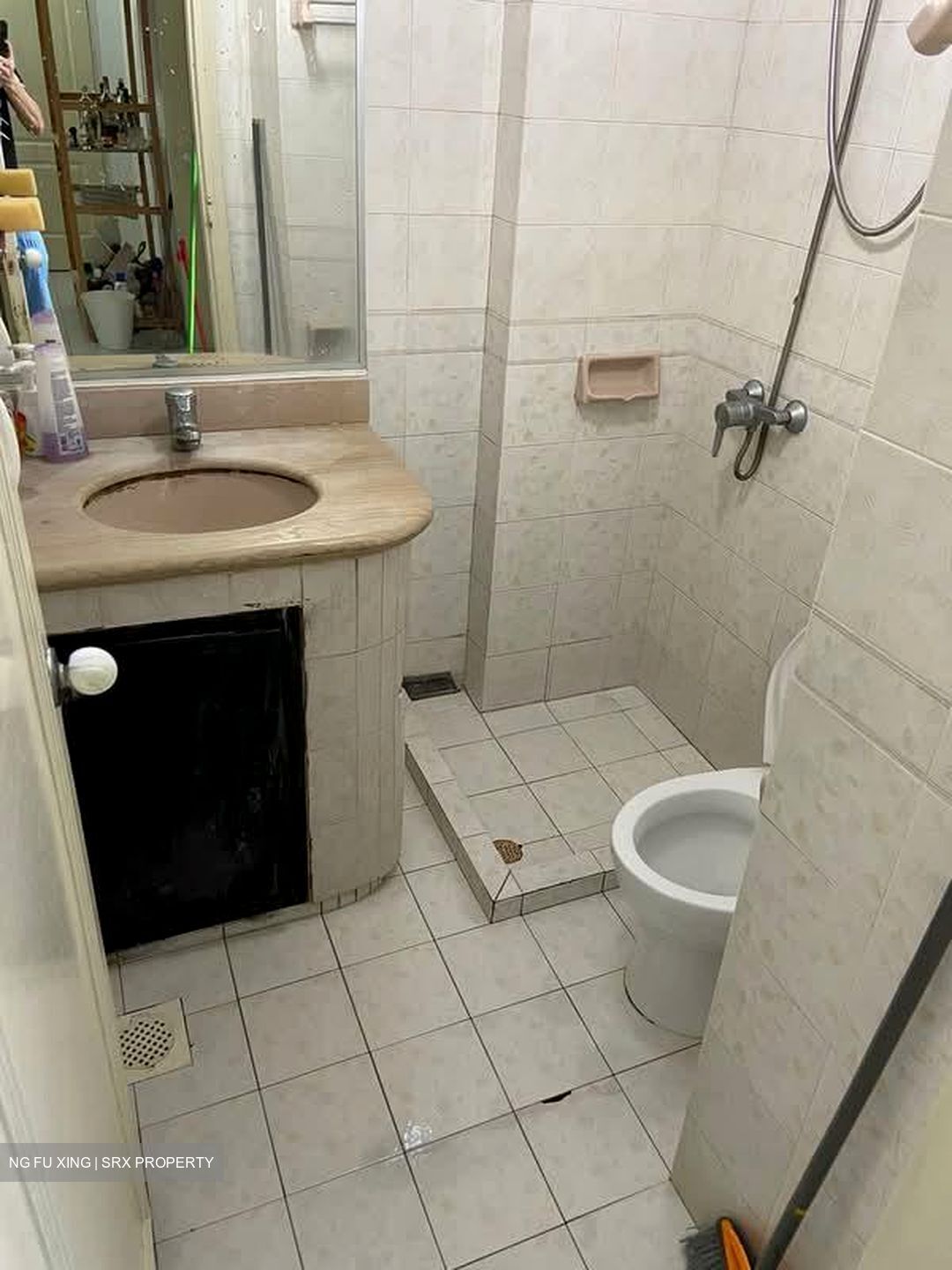 Emerald Park (D3), Condominium #589299561